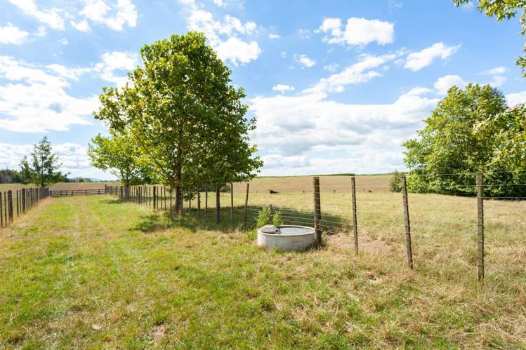 191 Taihoa South Road Matamata_32