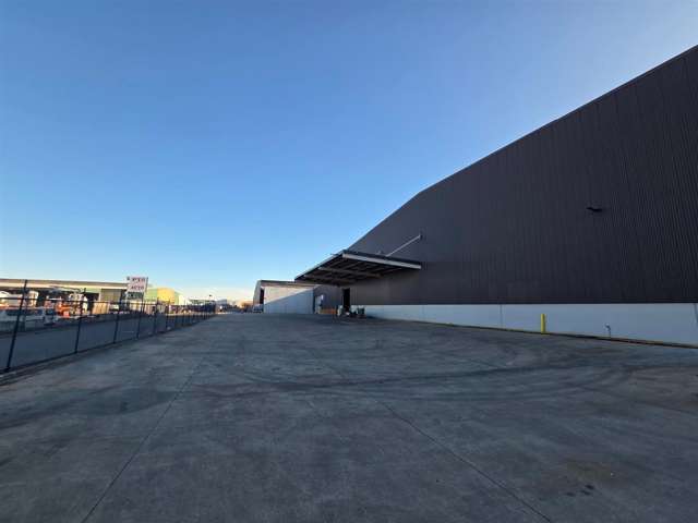 75 Seymour Street Hornby_4