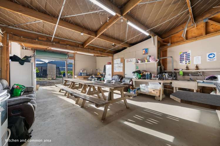 31 Gilmore Road Mount Pisa_12