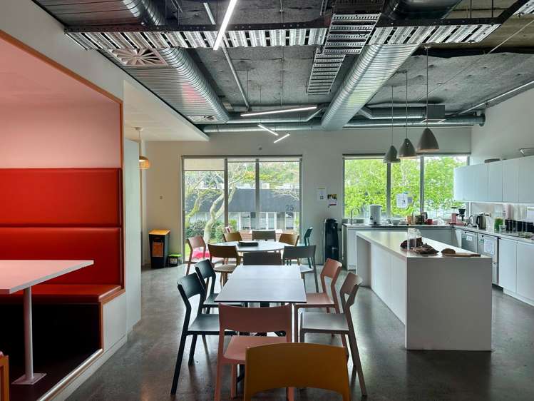 16 Normanby Road Mt Eden_5