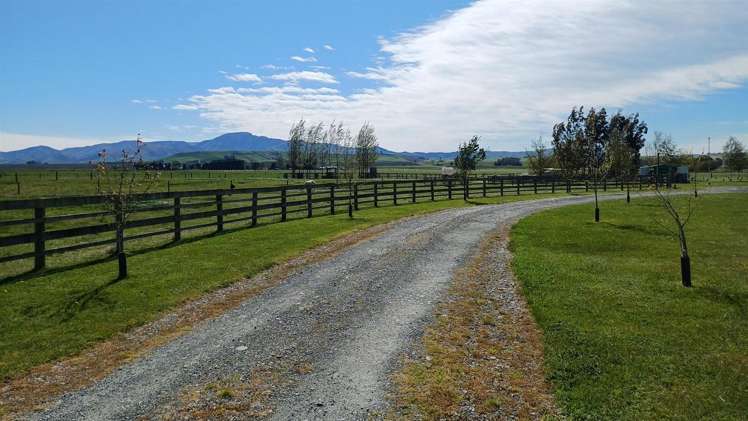 312 Clayton Road Fairlie_33