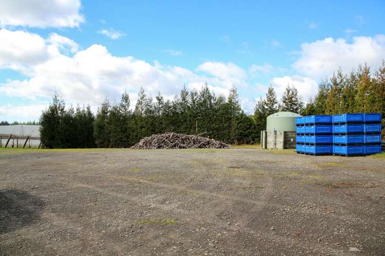 852 Rangiuru Road Rangiuru_25