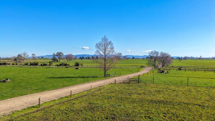 6379 State Highway 26, Tirohia Paeroa_7