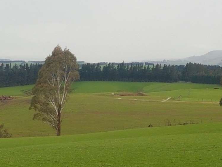 1680 Mahinerangi Road Waipori_36