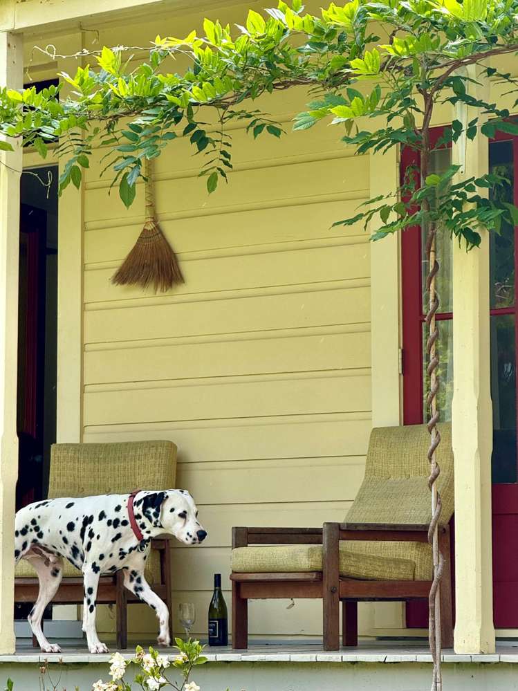 40 Yarborough Street Kohukohu_16