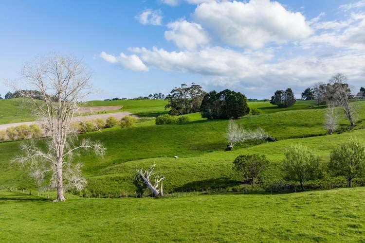 52 Gillon Road Matakohe_12