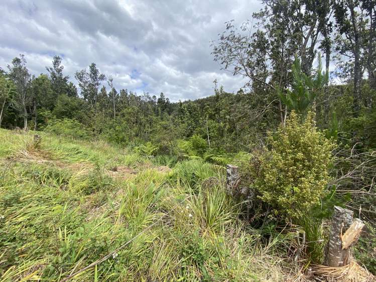 315 The Drive Whangamata_17