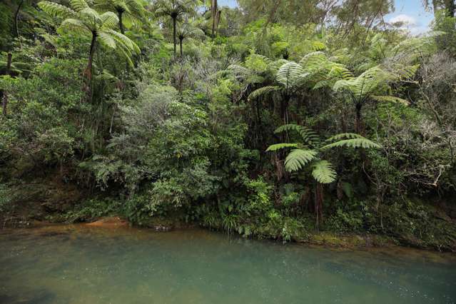 495 Kopu Hikuai SH 25A Thames-coromandel_3