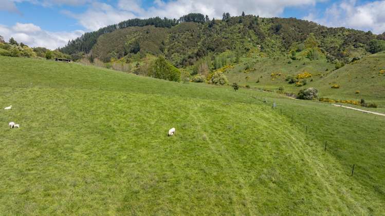 98 Thorpe-Orinoco Road Ngatimoti_18