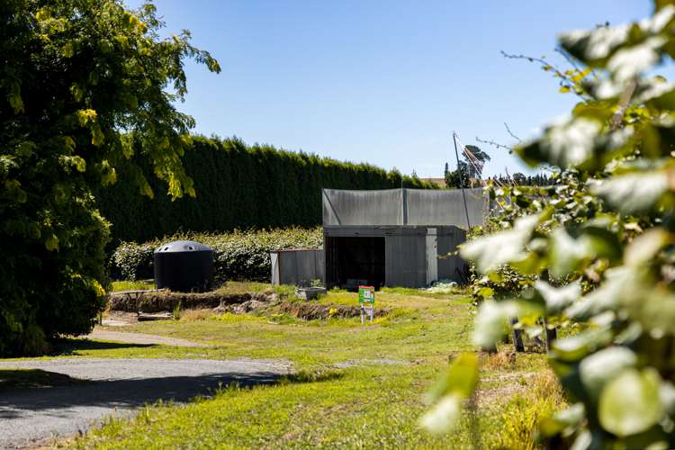 881b Te Matai Road Te Ranga_22