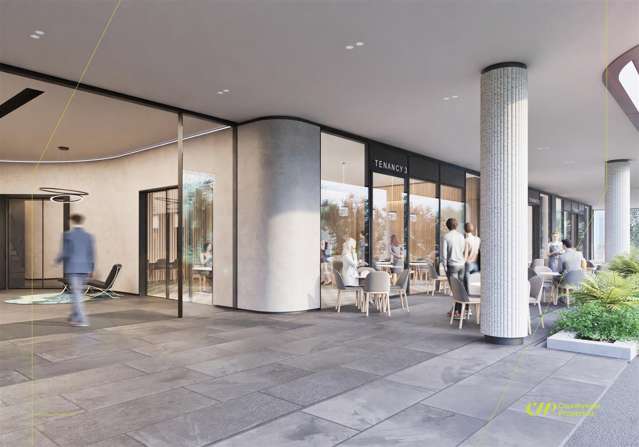 9 Marewa Road Greenlane_4