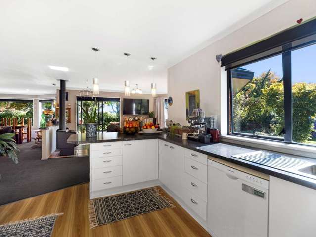 83 West Town Belt Rakaia_2