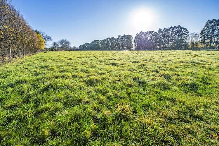 137 Corbetts Road Springston_6