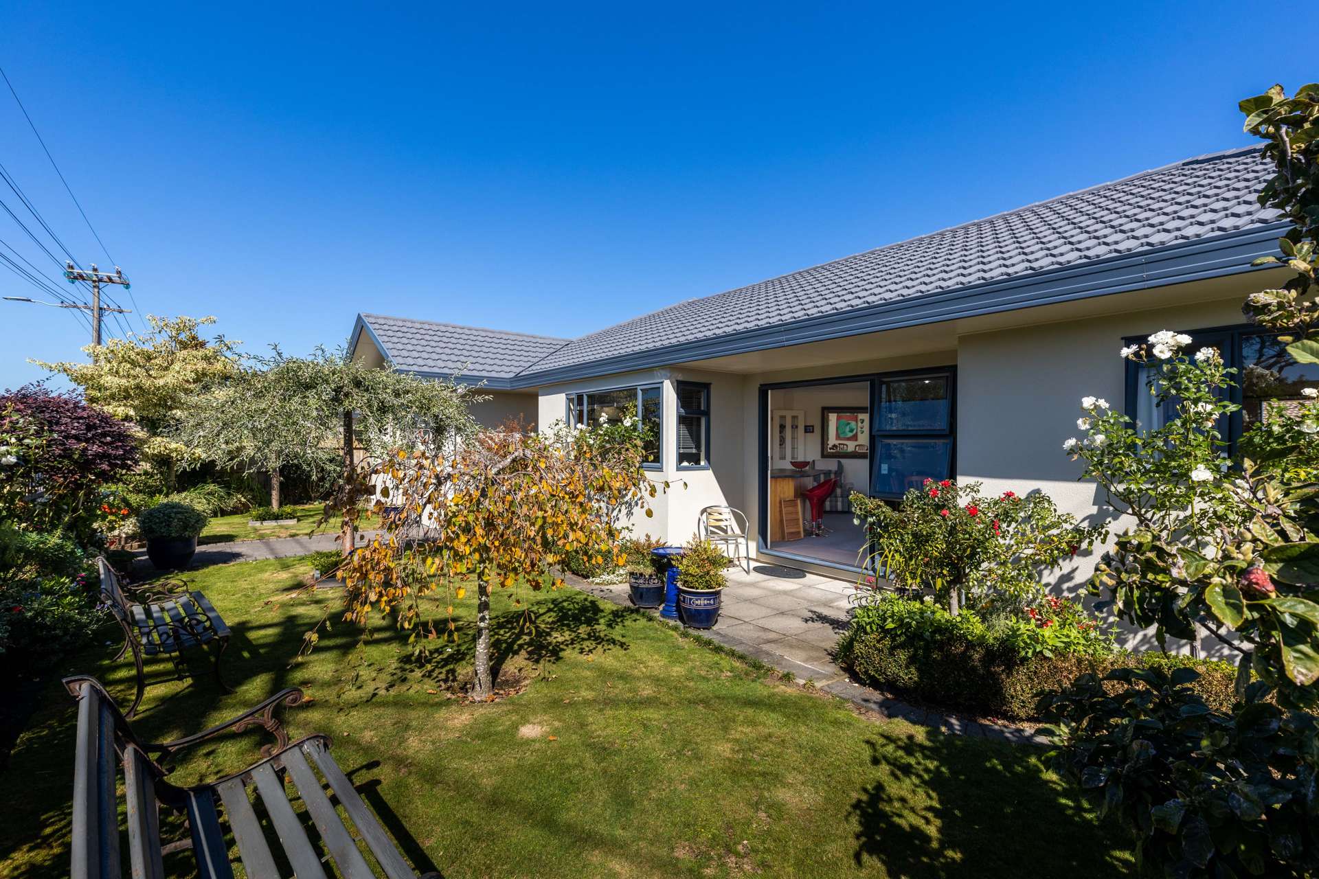 140 Carrington Street Lower Vogeltown_0