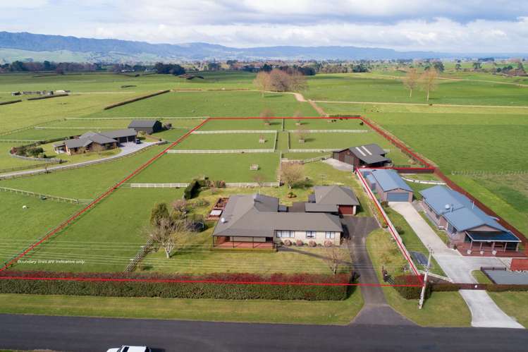 564 Taihoa South Road Matamata_17