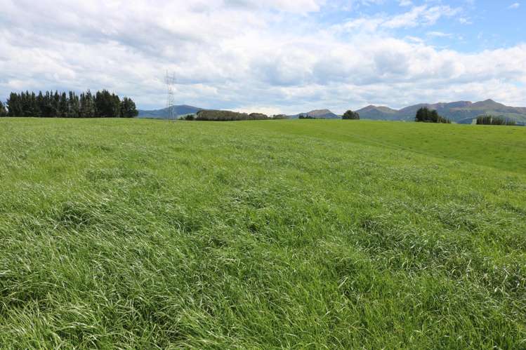 669B Waimumu Road Gore_12