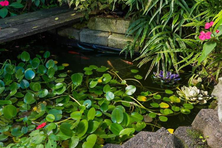 3/27 Aeroview Drive Beach Haven_23