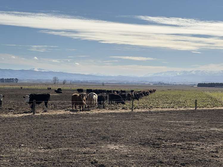 1586 Maniototo Road Patearoa_18