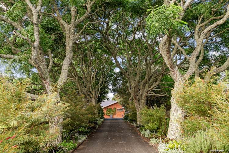 41 Speedy Road Glenbrook_28