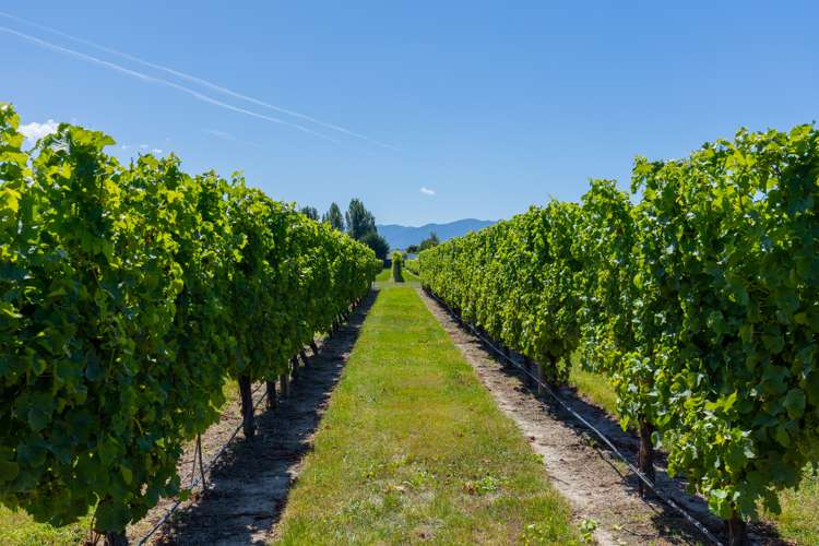 70 Ben Morven Road Fairhall_32