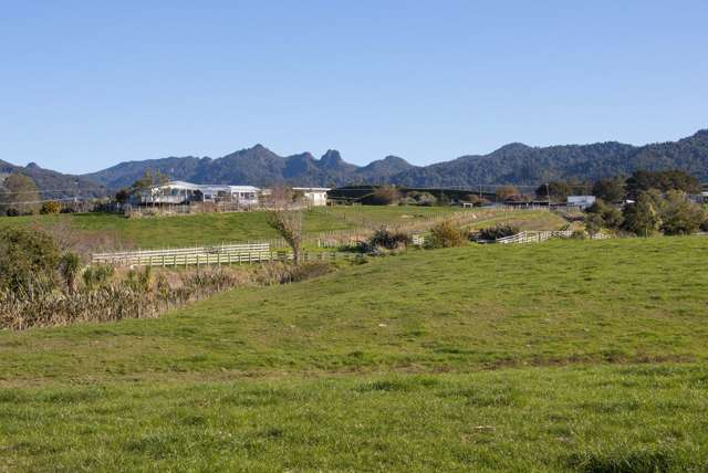 240 Rea Road Hauraki Surrounds_2