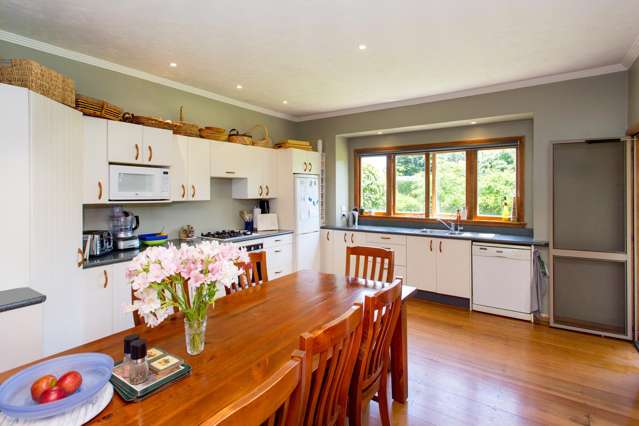 121 Bushy Park Road Kai Iwi_3