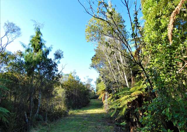 C/167 Darkies Terrace Charleston_4