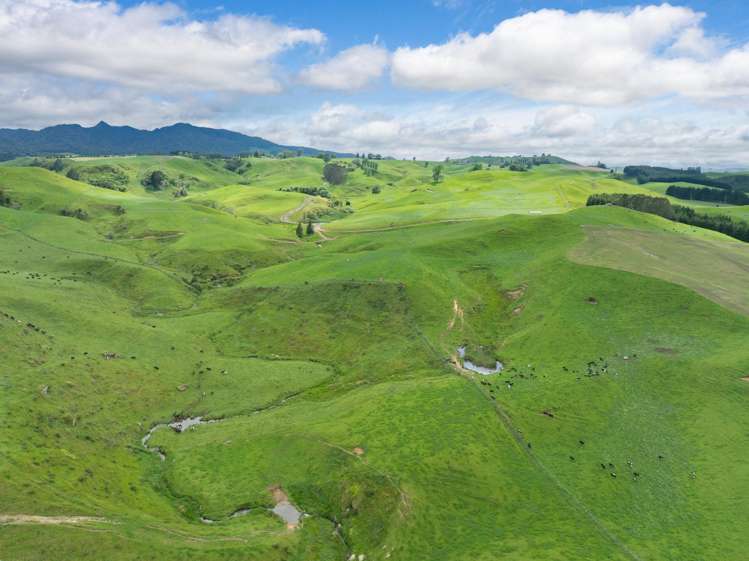 196 Waimanu Road Pukeatua_26