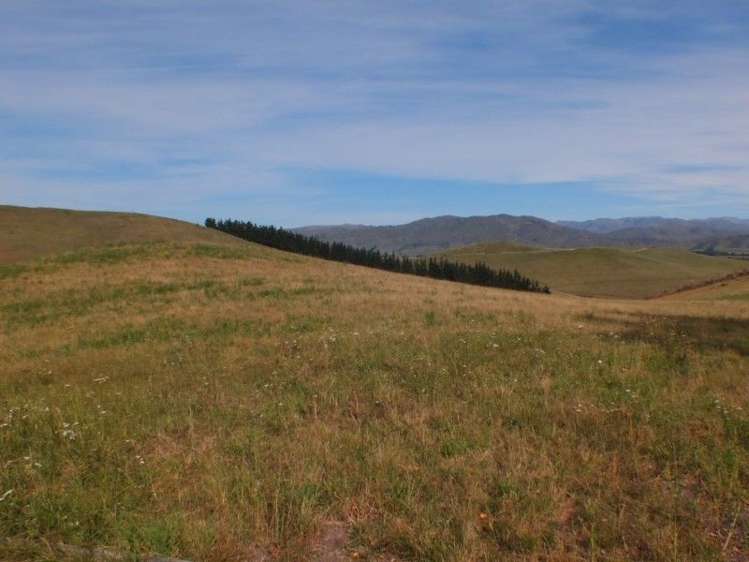 216 Broxton Road MacDonald Downs_16