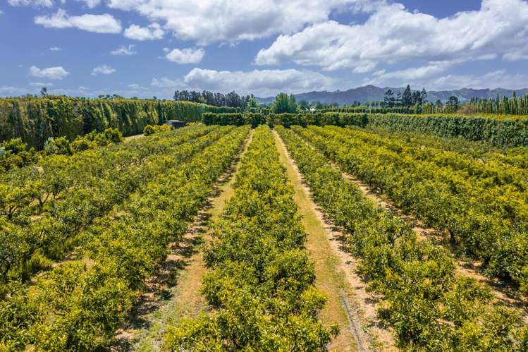 Kiwi Street Makaraka_16