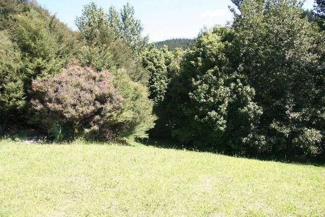 4 Governors Heights Whangamata_3