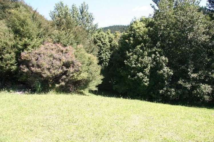 4 Governors Heights Whangamata_3