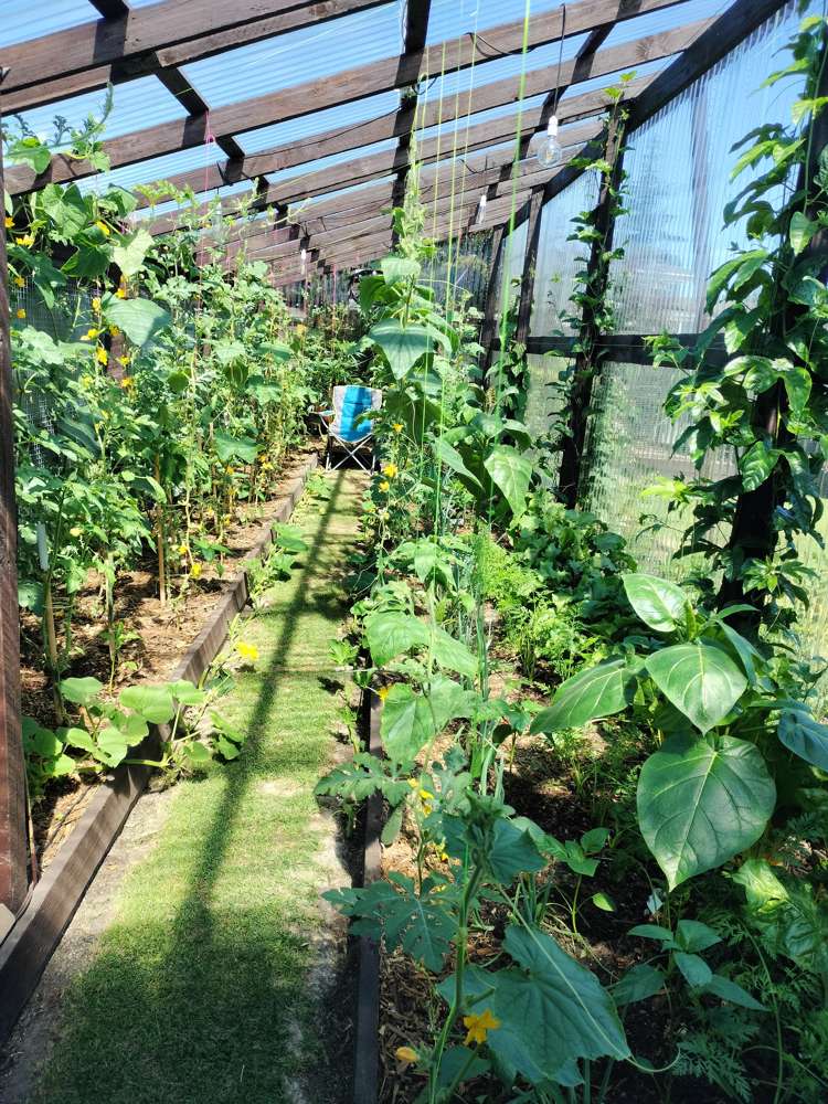 169 White Street Rangiora_24