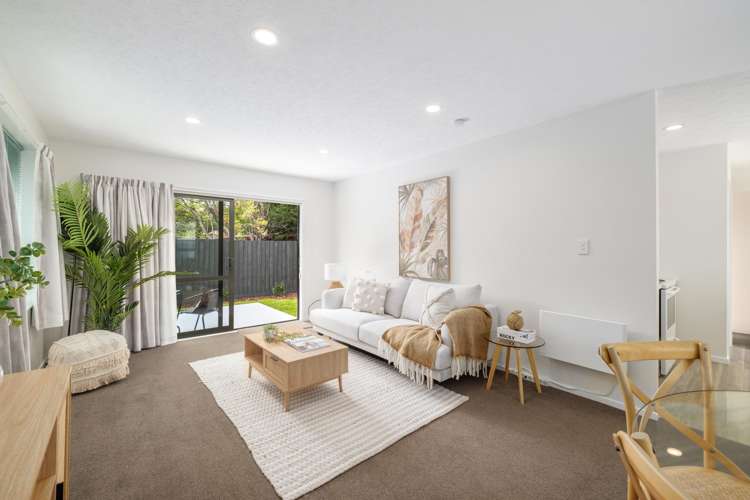 26a Plunket Street Spreydon_2