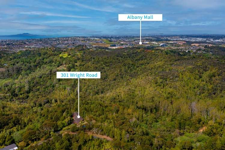 301 Wright Road Dairy Flat_18