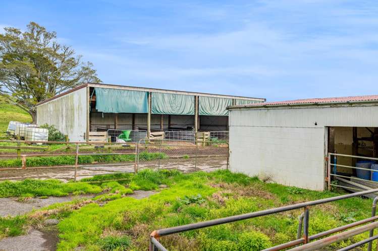 885 Carrington Road Hurworth_16