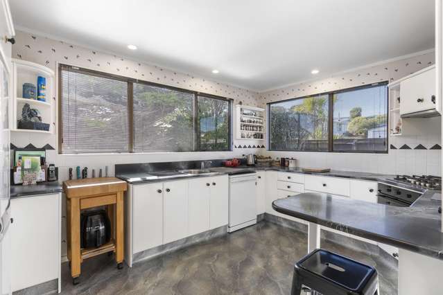 53 Fitzpatrick Street Newlands_1