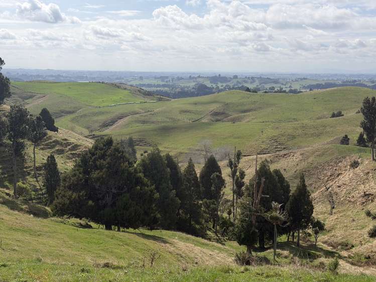 1026 Limeworks Loop Road Karamu_31