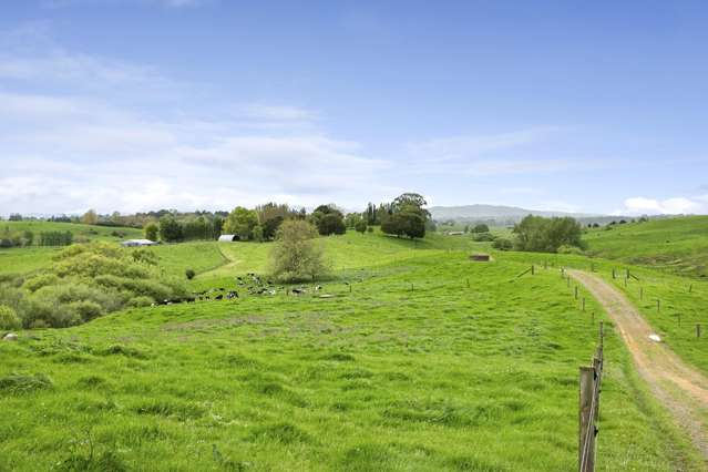 637 to 897 Tahuroa Road Morrinsville_3