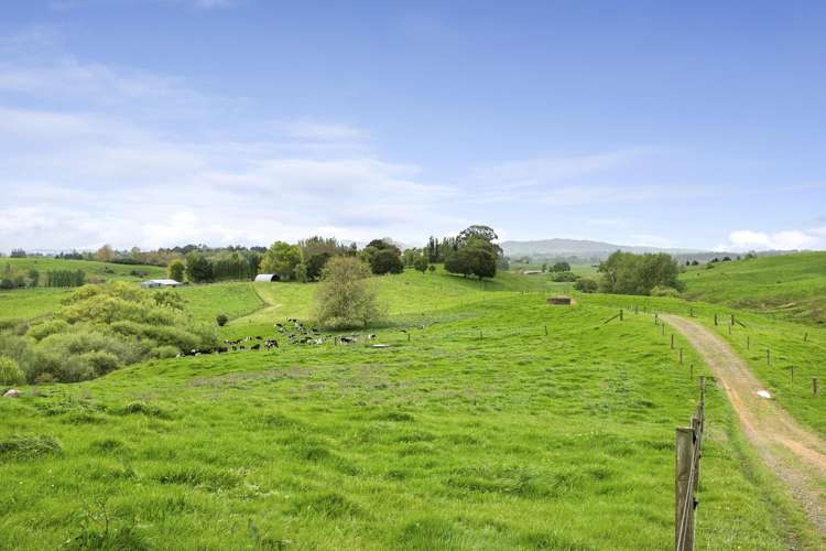 637 to 897 Tahuroa Road Morrinsville_3