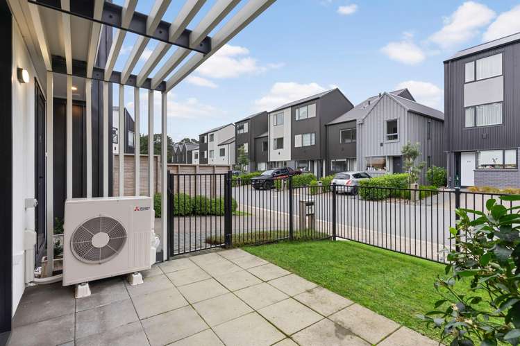 45 Ara Paiwhenua Tawa_9