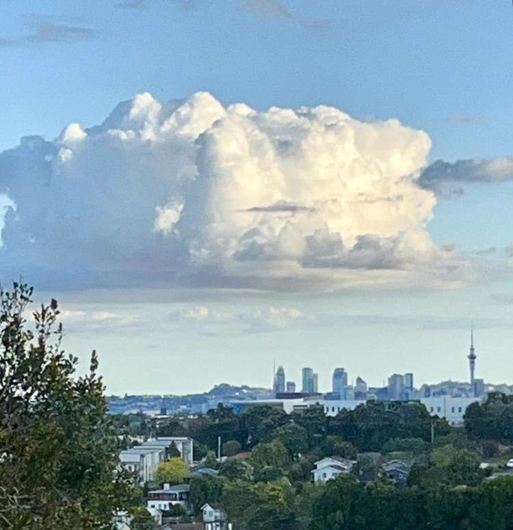 4/69 Target Road Totara Vale_14