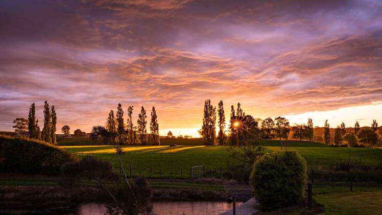 624 Scotsman Valley Road Tauwhare_34