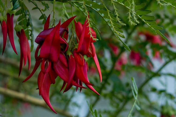 252 Matapouri Road Tutukaka_20