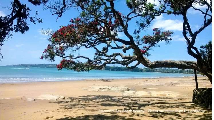 17 Brian Crescent Stanmore Bay_19