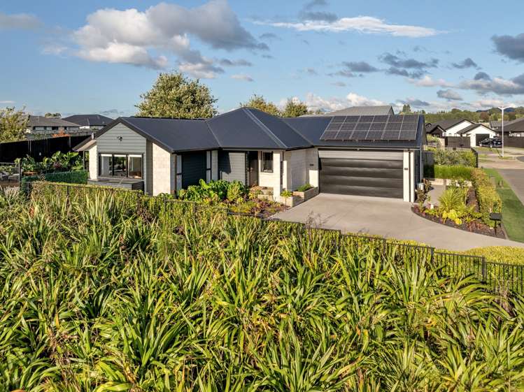 16 Huria Vista Pyes Pa_35