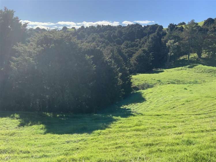 200 Central Road Mareretu_7