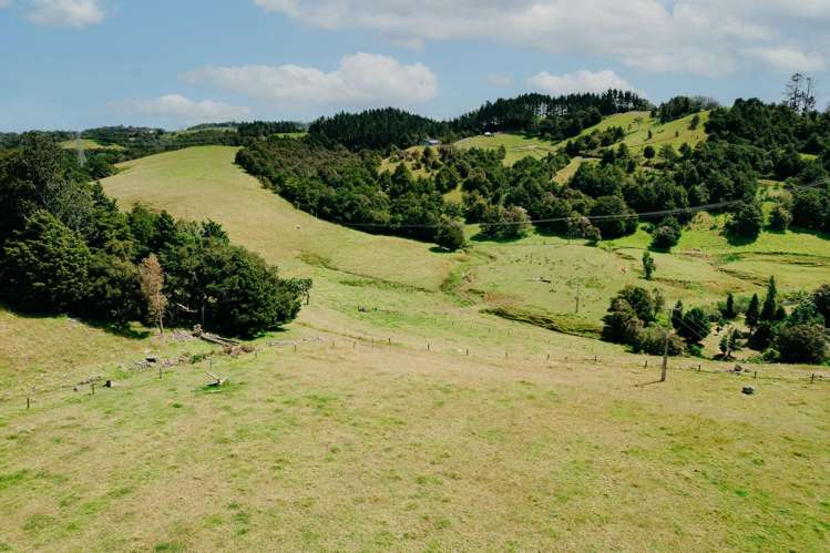 48 Bedlington Street Whau Valley_41