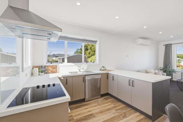 65B Alexandra Street Marton_3