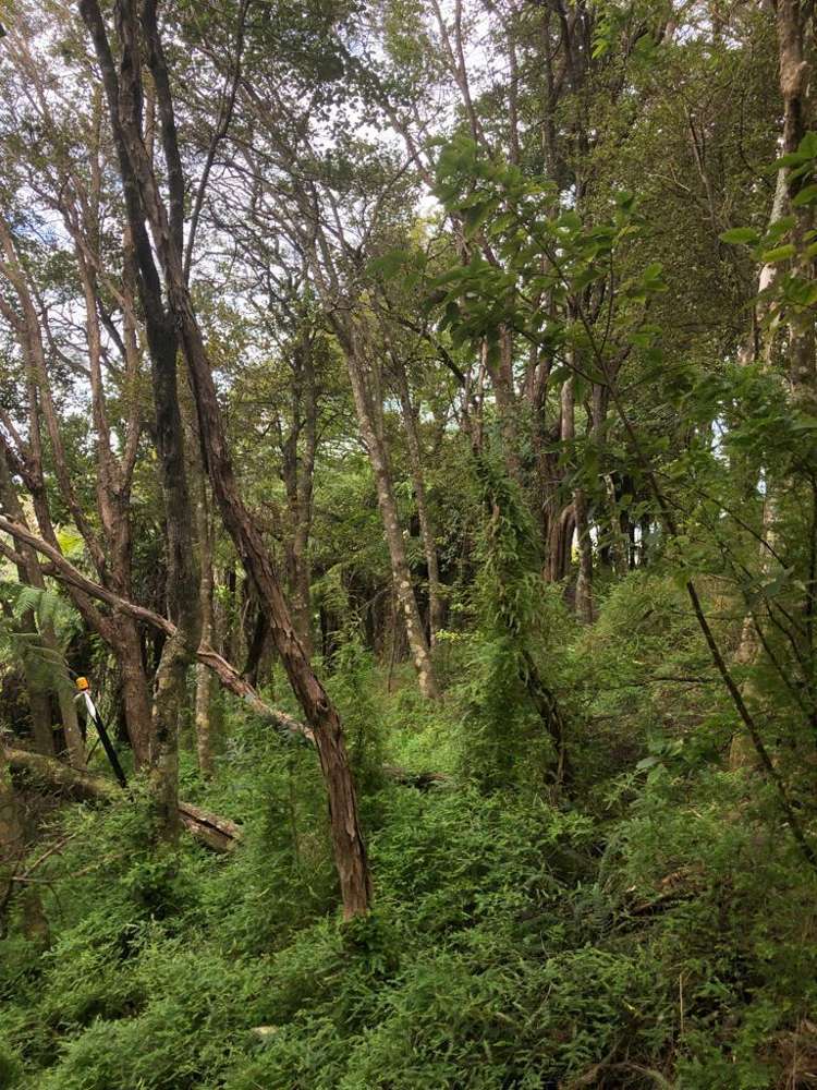 12 Beresford Avenue Surfdale_7